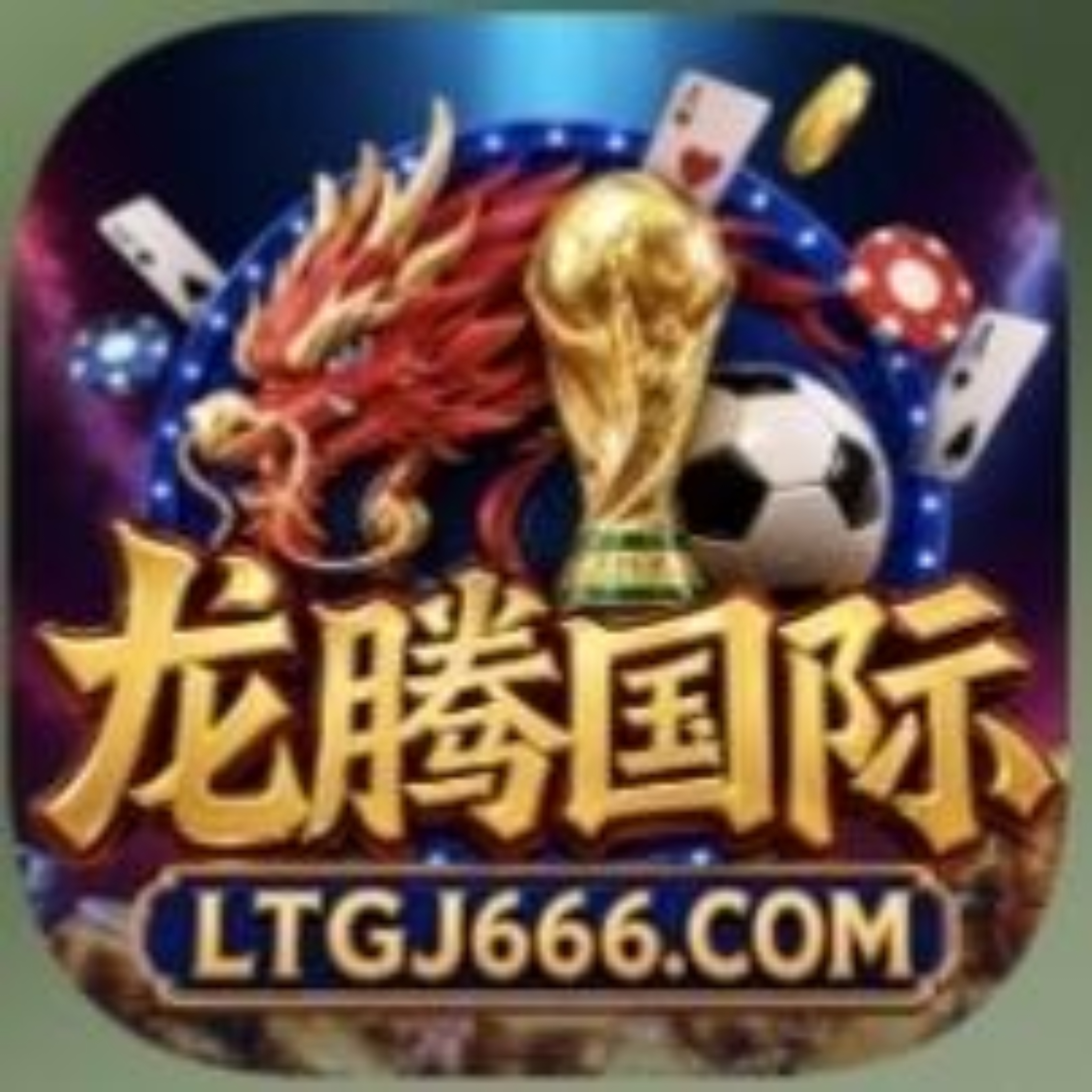 龙腾国际