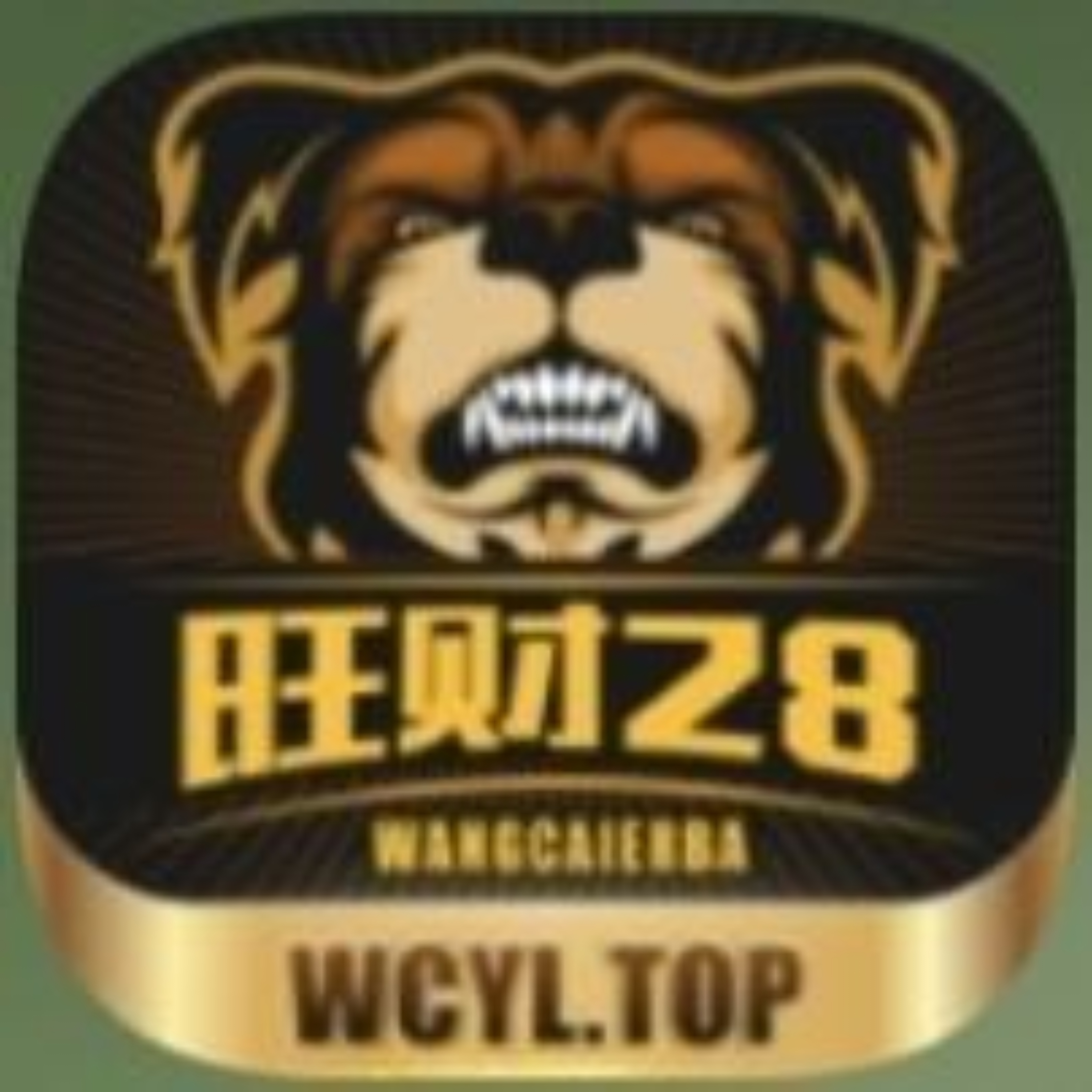 旺财28